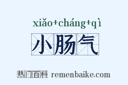 小肠气是什么意思的图片